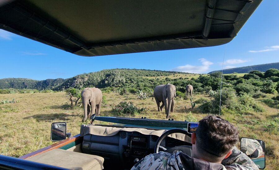 sibuya-portelizabeth-suedafrika-southafrica-fine-travel-selbstfahrer-luxusreisen-individuell-stgallen-signature-professionell