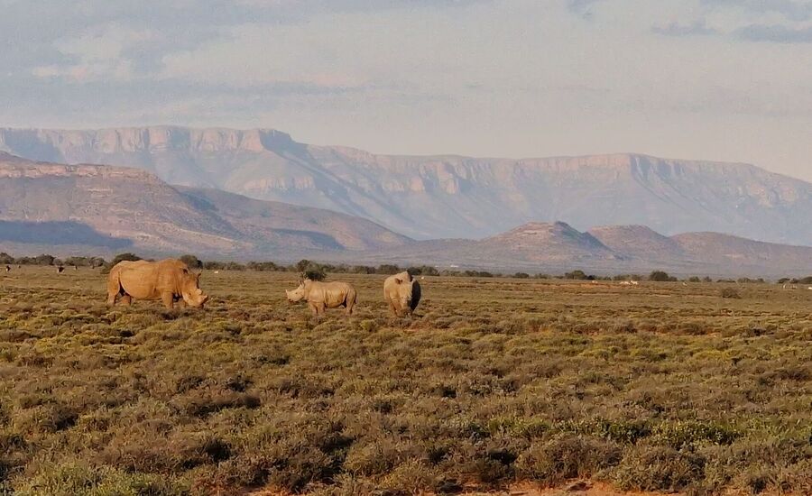 samara-graffreinet-karoo-suedafrika-southafrica-fine-travel-selbstfahrer-luxusreisen-individuell-stgallen-signature-professionell