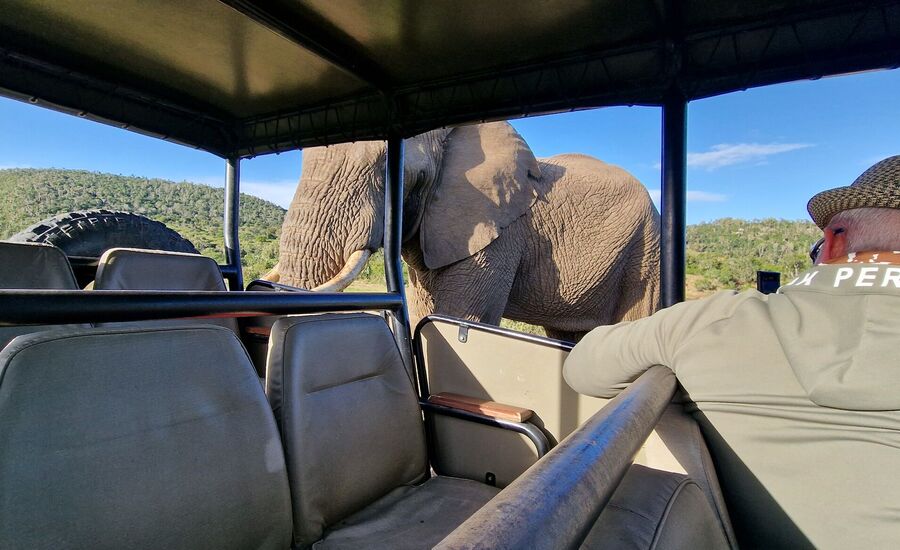 sibuya-portelizabeth-suedafrika-southafrica-fine-travel-selbstfahrer-luxusreisen-individuell-stgallen-signature-professionell