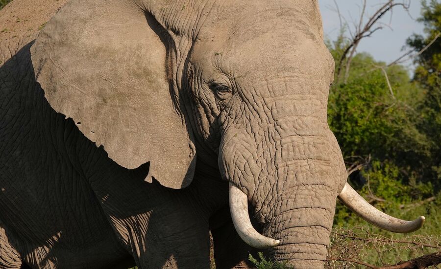 samara-graffreinet-karoo-suedafrika-southafrica-fine-travel-selbstfahrer-luxusreisen-individuell-stgallen-signature-professionell