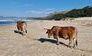 portstjohn-wildcoast-suedafrika-southafrica-fine-travel-selbstfahrer-luxusreisen-individuell-stgallen-signature-professionell