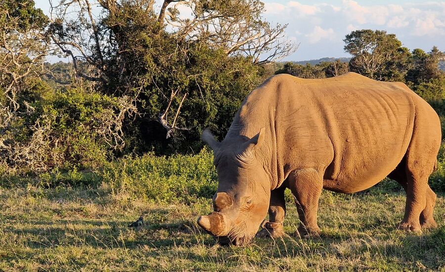 samara-graffreinet-karoo-suedafrika-southafrica-fine-travel-selbstfahrer-luxusreisen-individuell-stgallen-signature-professionell