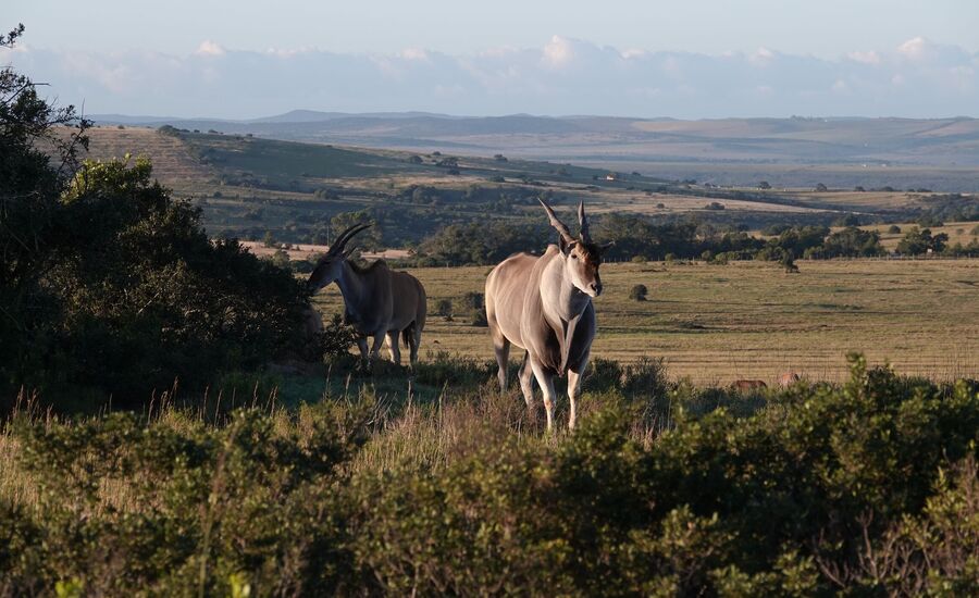 lalibela-suedafrika-southafrica-fine-travel-selbstfahrer-luxusreisen-individuell-stgallen-signature-professionell