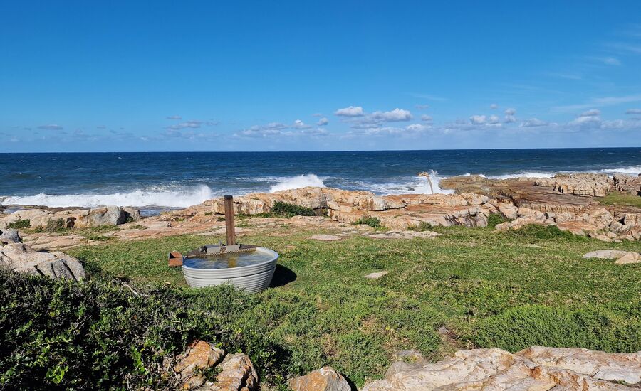 gwegwe-wildcoast-suedafrika-southafrica-fine-travel-selbstfahrer-luxusreisen-individuell-stgallen-signature-professionell