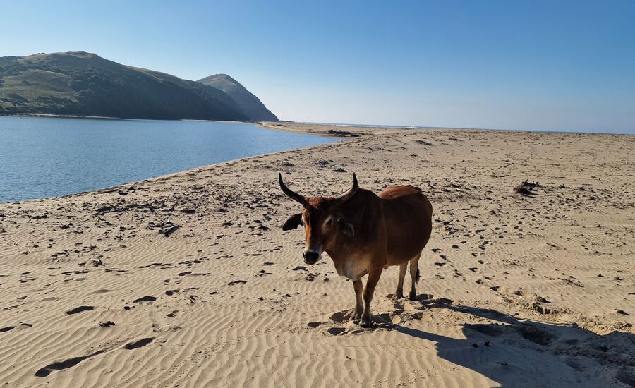 portstjohn-wildcoast-suedafrika-southafrica-fine-travel-selbstfahrer-luxusreisen-individuell-stgallen-signature-professionell