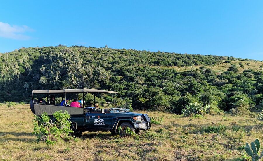 sibuya-portelizabeth-suedafrika-southafrica-fine-travel-selbstfahrer-luxusreisen-individuell-stgallen-signature-professionell