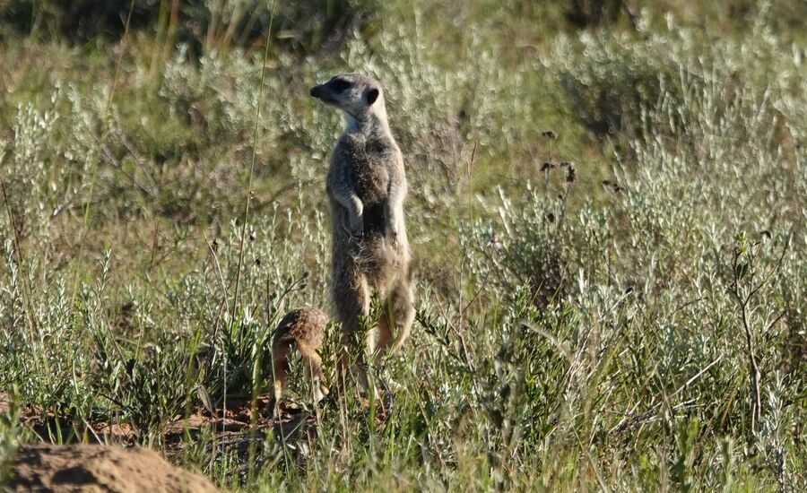 lalibela-suedafrika-southafrica-fine-travel-selbstfahrer-luxusreisen-individuell-stgallen-signature-professionell