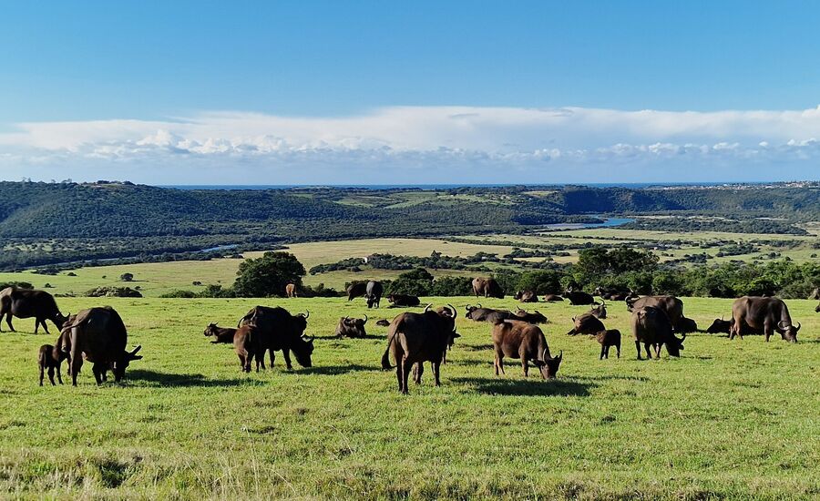 samara-graffreinet-karoo-suedafrika-southafrica-fine-travel-selbstfahrer-luxusreisen-individuell-stgallen-signature-professionell