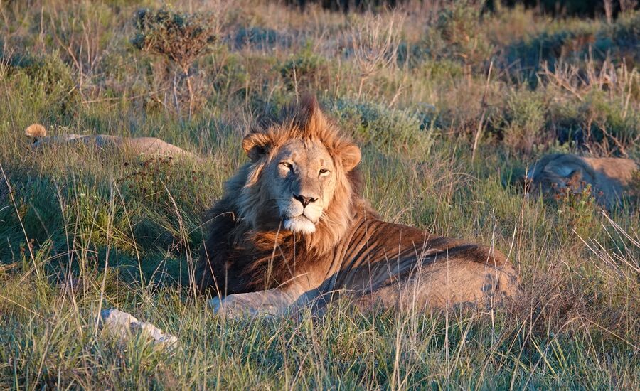 lalibela-suedafrika-southafrica-fine-travel-selbstfahrer-luxusreisen-individuell-stgallen-signature-professionell